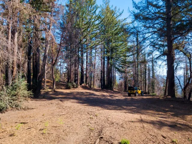 , Boulder Creek, California 95006