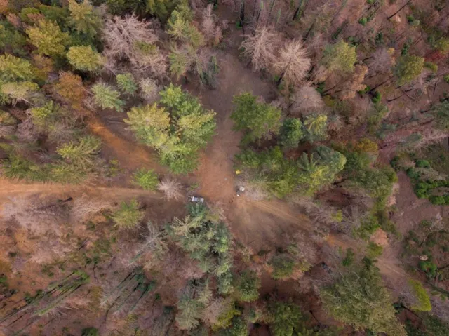 , Boulder Creek, California 95006