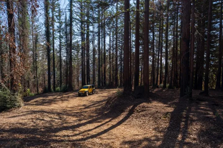 , Boulder Creek, California 95006