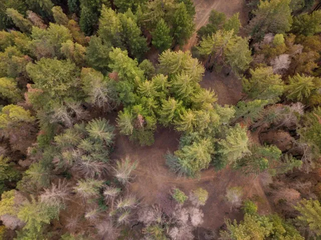 , Boulder Creek, California 95006