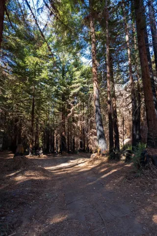 , Boulder Creek, California 95006