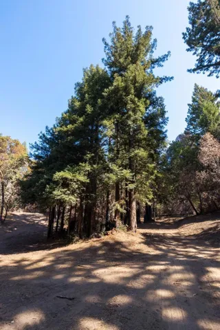 , Boulder Creek, California 95006