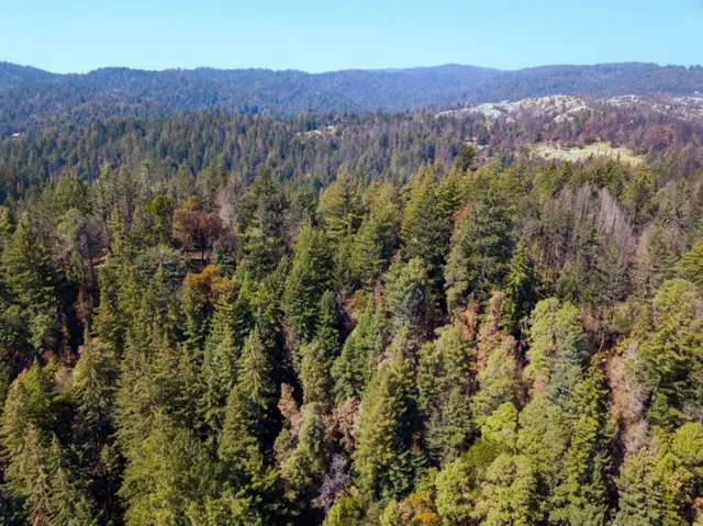 , Boulder Creek, California 95006