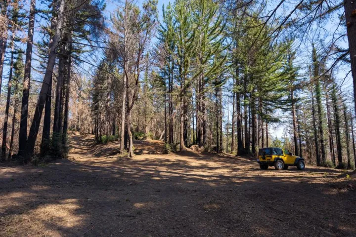 , Boulder Creek, California 95006