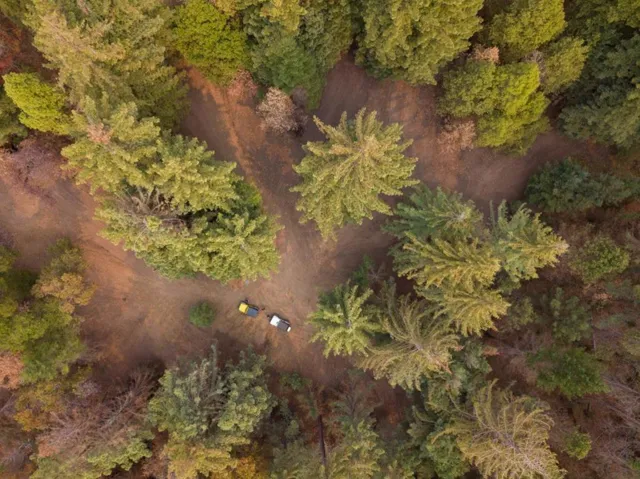 , Boulder Creek, California 95006
