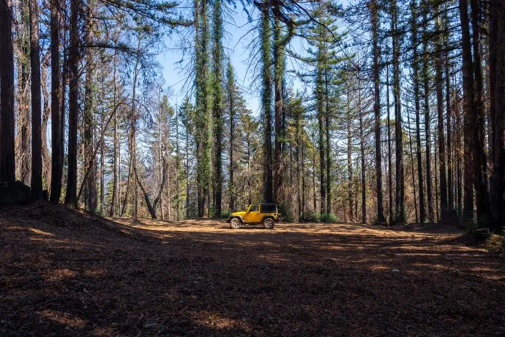 , Boulder Creek, California 95006