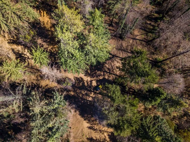, Boulder Creek, California 95006