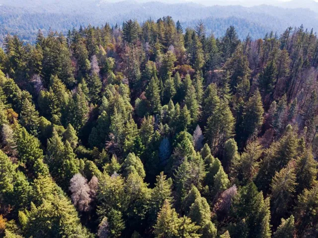 , Boulder Creek, California 95006