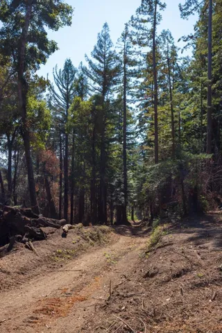 , Boulder Creek, California 95006