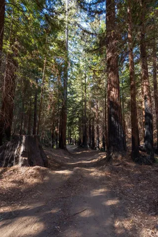 , Boulder Creek, California 95006