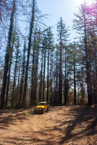 , Boulder Creek, California 95006