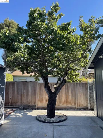 4032 Quigley St, Oakland, California 94619