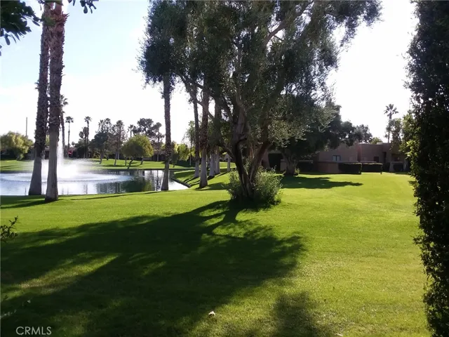 View From Back Lanai