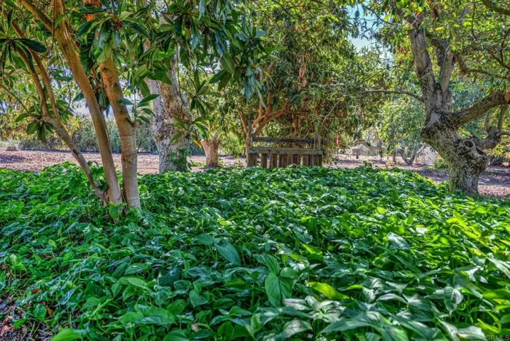 1139 Big Oak Ranch Road, Fallbrook, California 92028