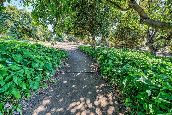 1139 Big Oak Ranch Road, Fallbrook, California 92028