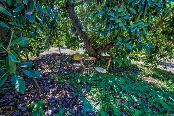 1139 Big Oak Ranch Road, Fallbrook, California 92028