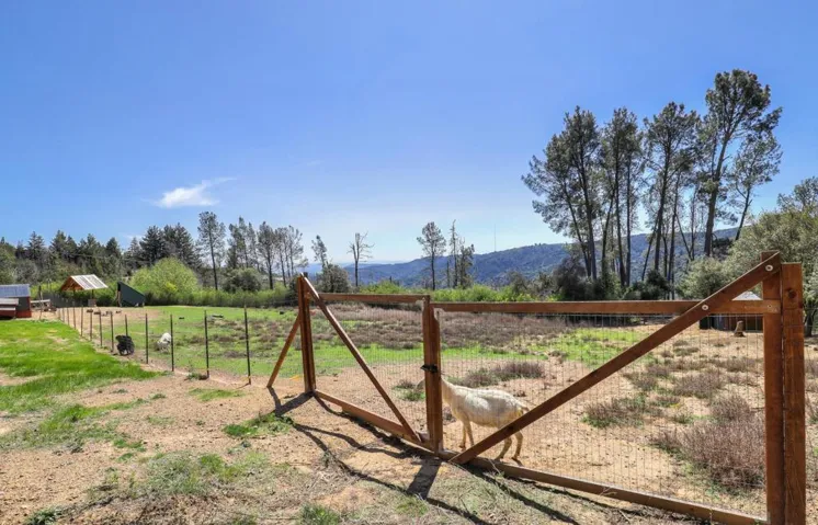 , Los Gatos, California 95033