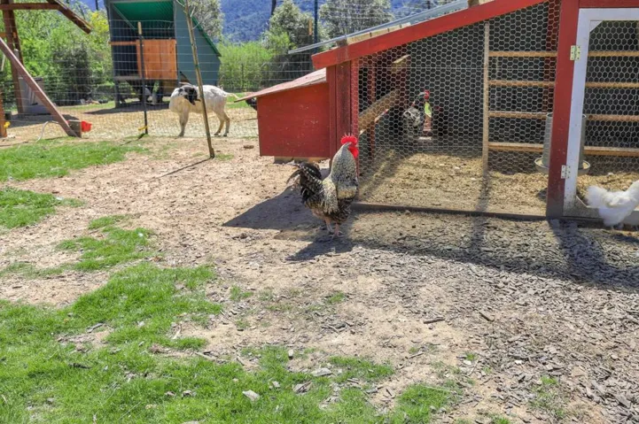 , Los Gatos, California 95033