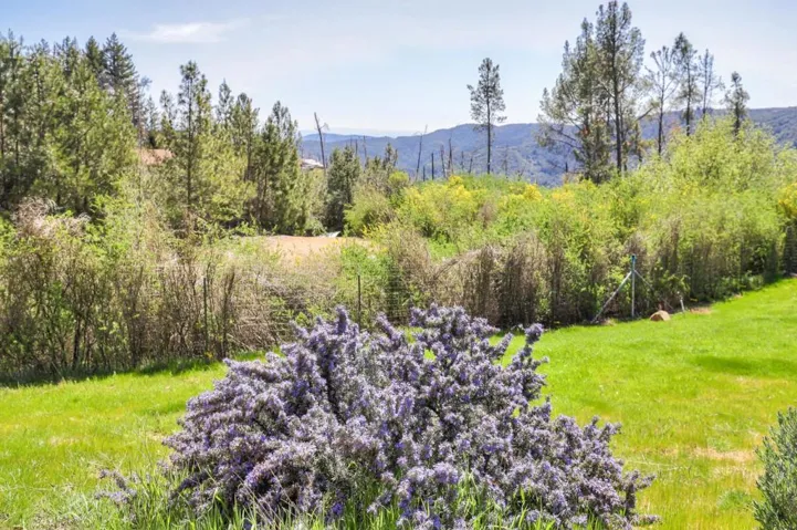 , Los Gatos, California 95033