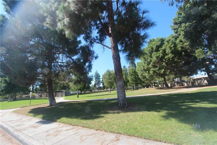 Anaconda park wit LOTS of open space for picnics