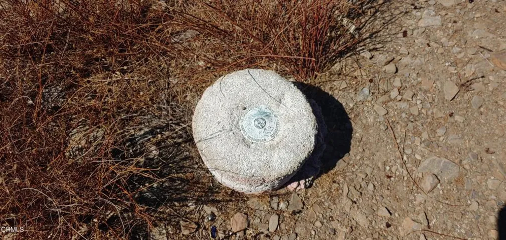 lot20