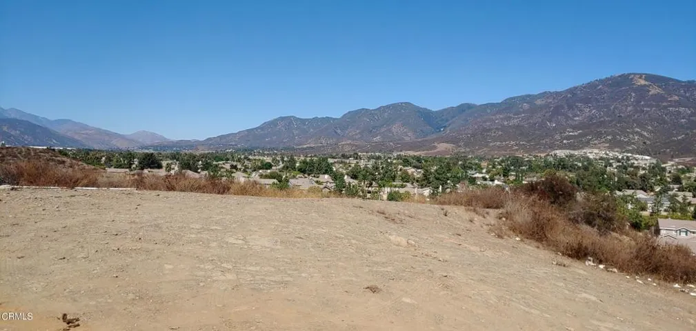 lot16