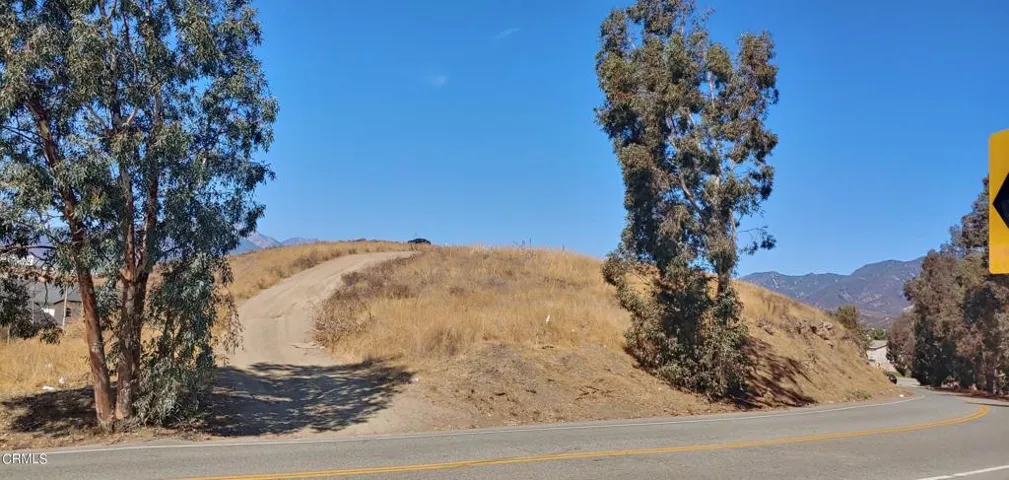 lot19