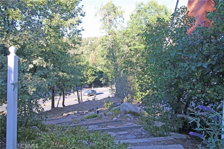 front yard