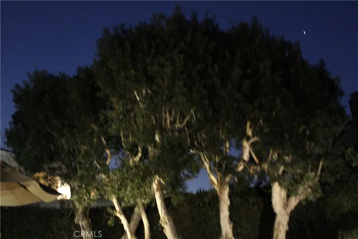 Mature trees make for a beautiful backyard setting.