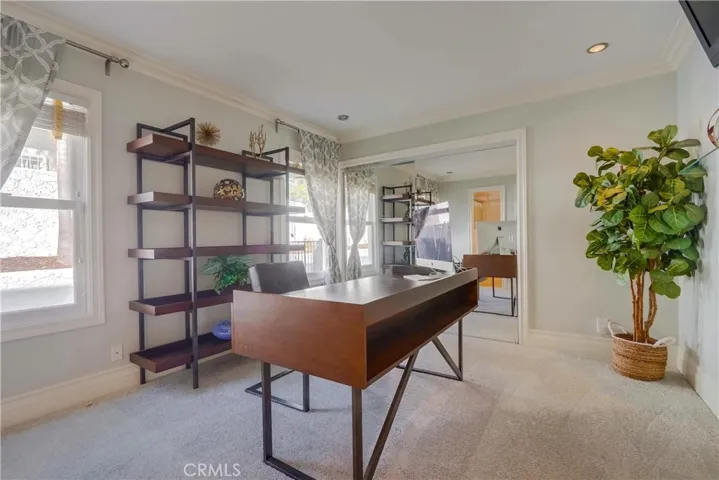 30032 Hillside Terrace Road, San Juan Capistrano, California 92675