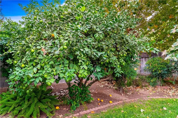 9774 Bolton Avenue, Riverside, California 92503