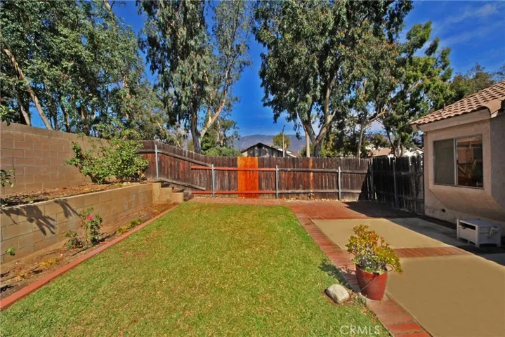 Let your dogs run on this lawn