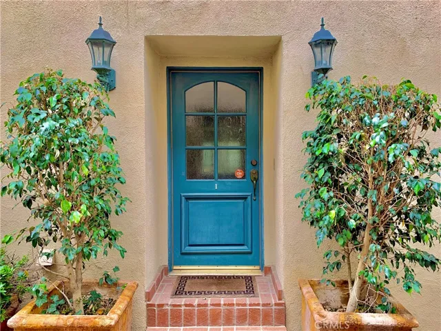 Entry Door