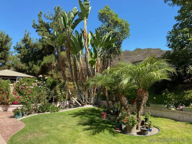 705 Via Barquero, San Marcos, California 92069