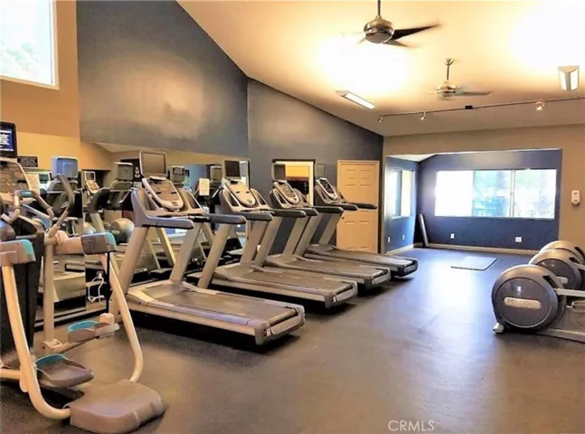 Modern Gym