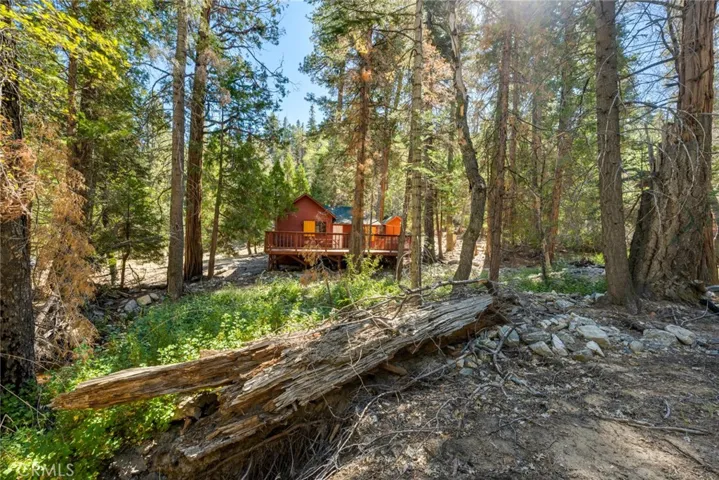 cabin in the background