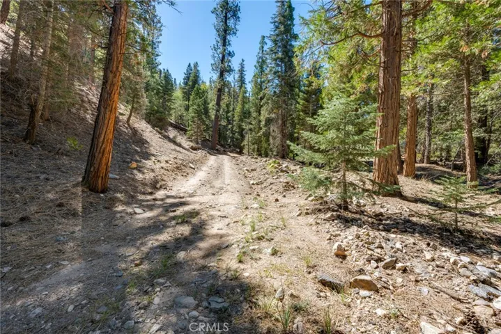 The road in
