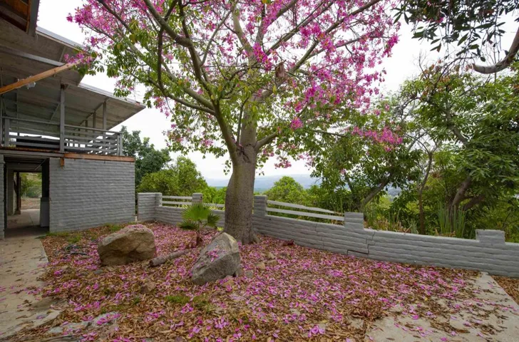 15657 Adams Drive, Pauma Valley, California 92061