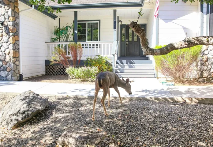 5955 Sunbury Avenue, Cambria, California 93428
