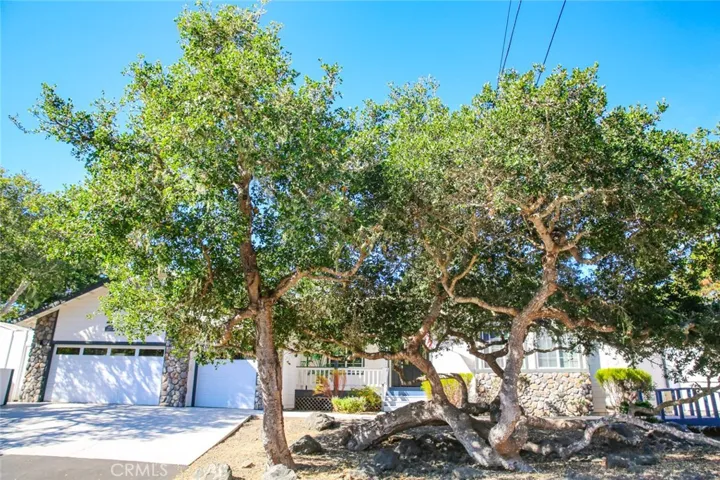 5955 Sunbury Avenue, Cambria, California 93428
