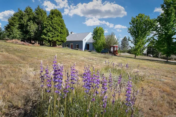 22221 Crestline Road, Palomar Mountain, California 92060