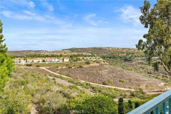 2 Chandon, Newport Coast, California 92657