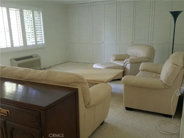Spacious living room with additional built-in closet at the end.