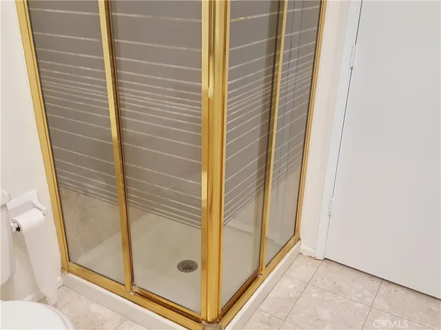 Guest bathroom shower stall.