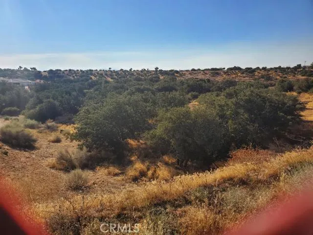 0 Coleridge Road, Oak Hills, California 92344