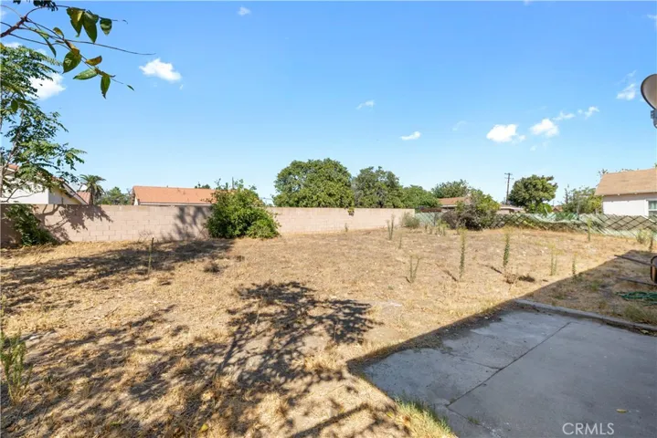 Back Yard (large lot)