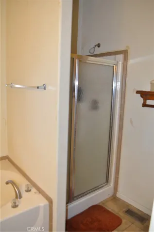 Master bath step in shower