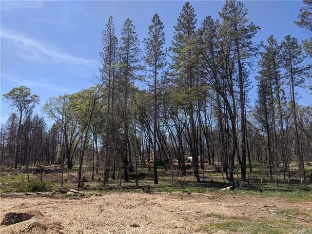 6455 Rix Lane, Paradise, California 95969