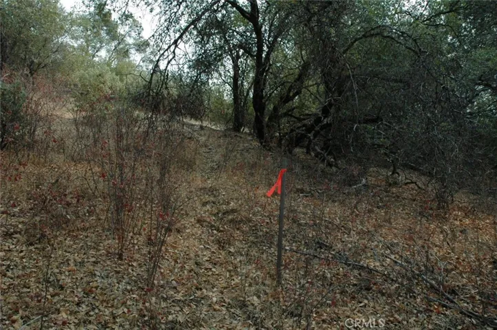 11 .57 Ac Jean Rd East, Oakhurst, California 93644