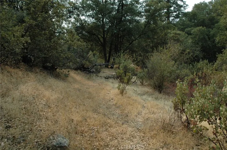 11 .57 Ac Jean Rd East, Oakhurst, California 93644
